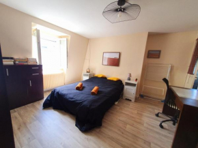 Cocon cosy avec SDB privée à Tours centre